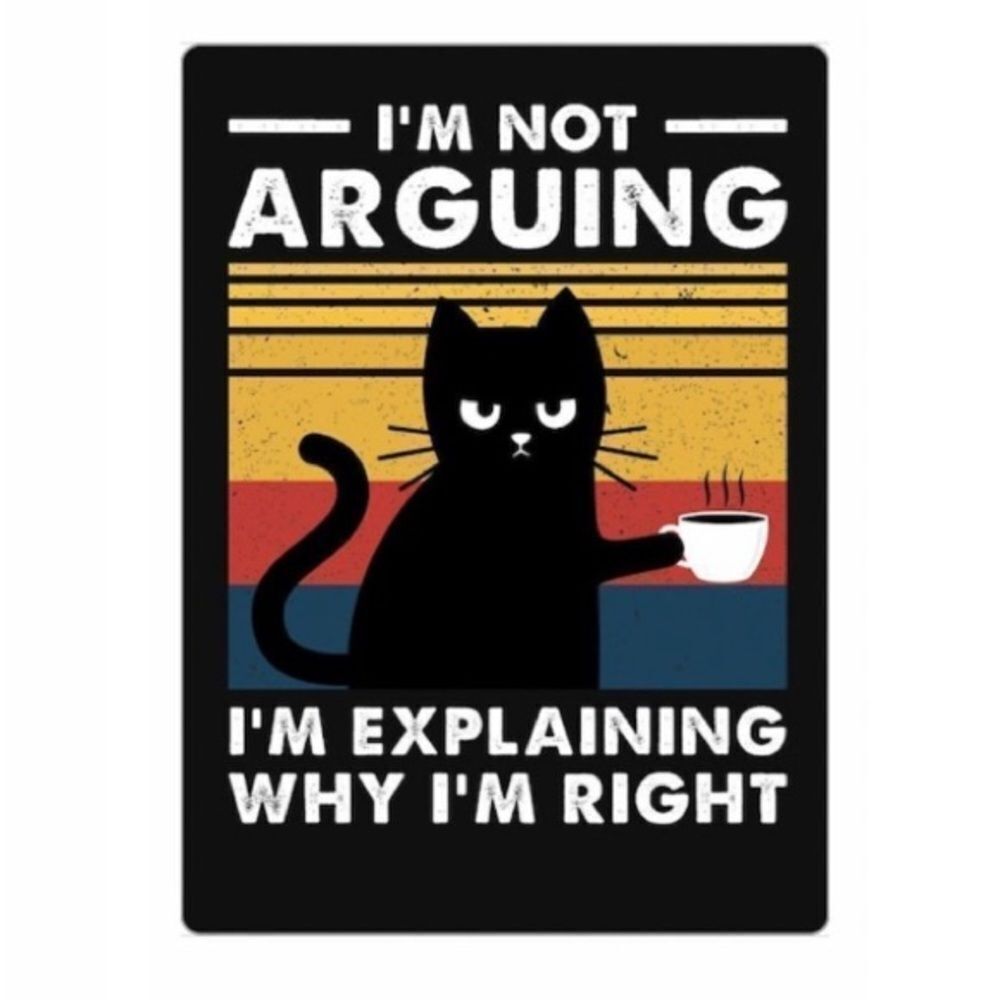 COPY - Grumpy Cat Funny Magnet